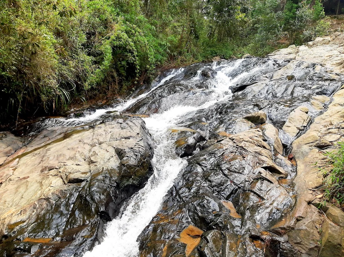 Chorro Clarín - Parque Arví