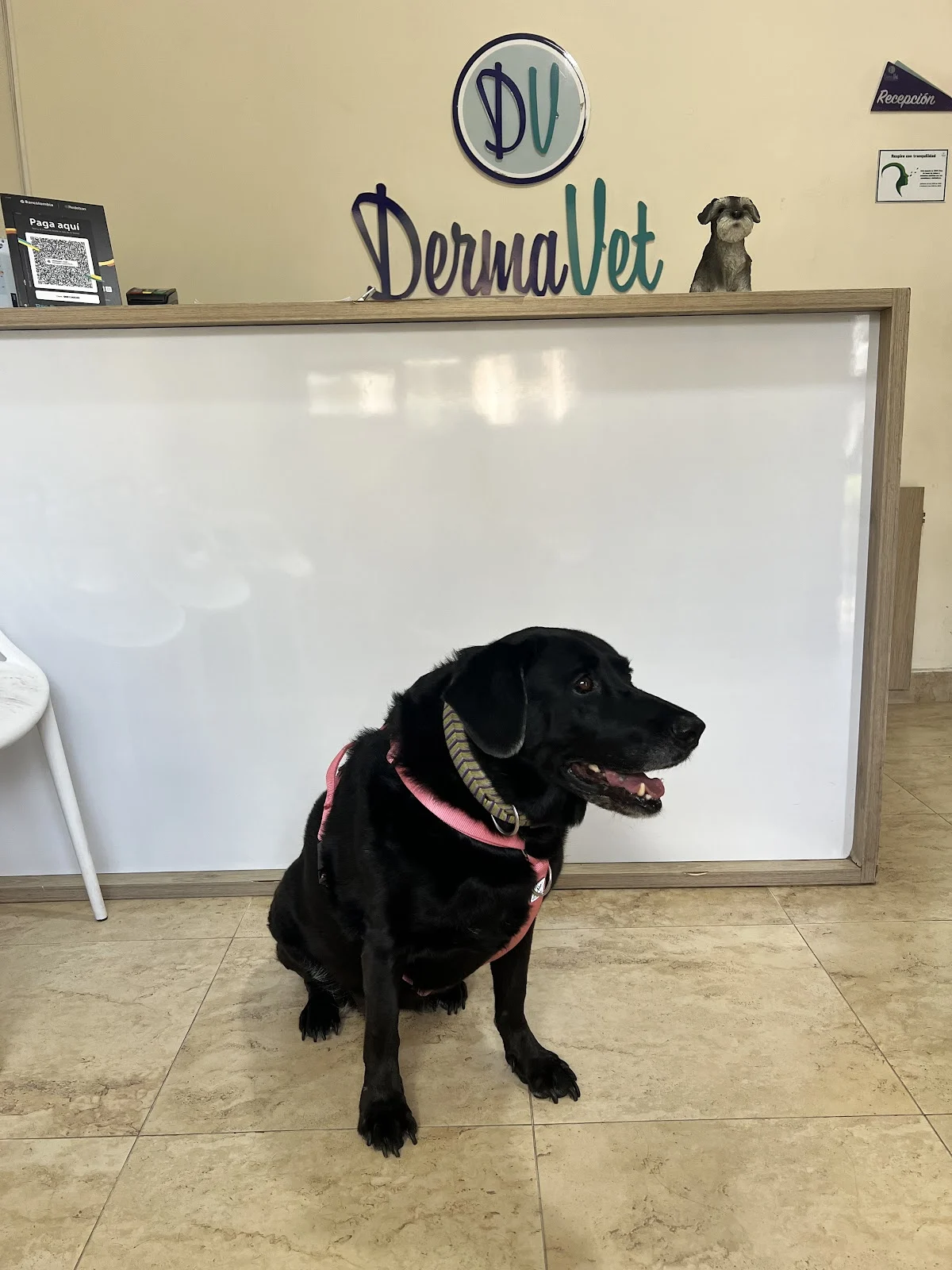 DERMAVET