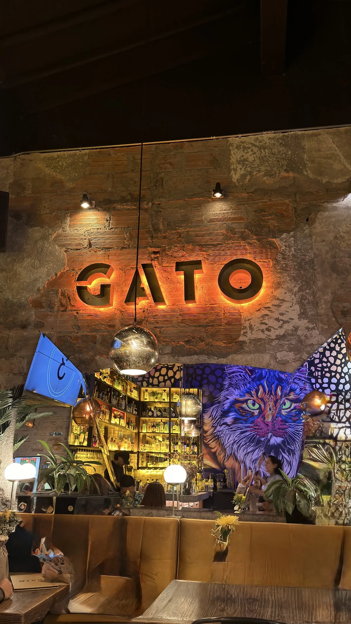 GATO-RESTO BAR - 2