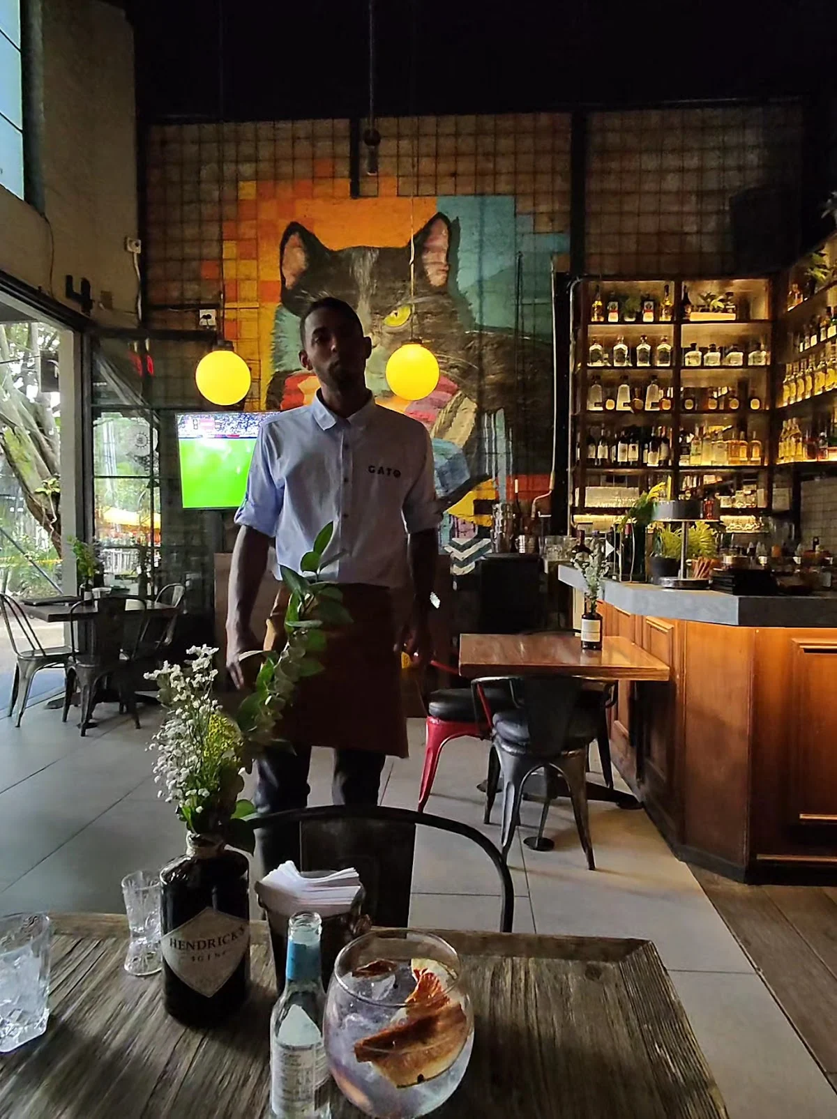 GATO-RESTO BAR - 5