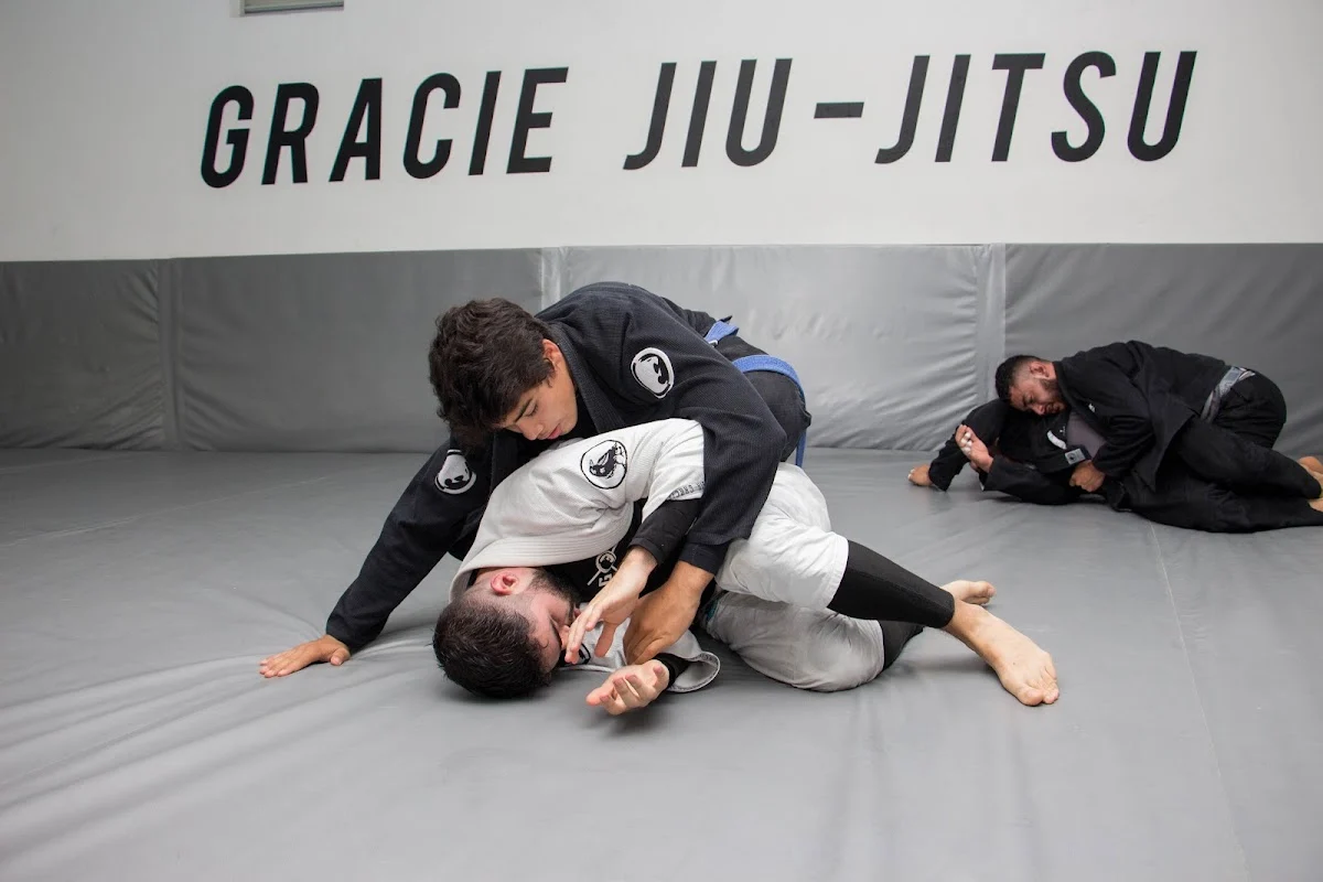 GRACIE COLOMBIA - 3
