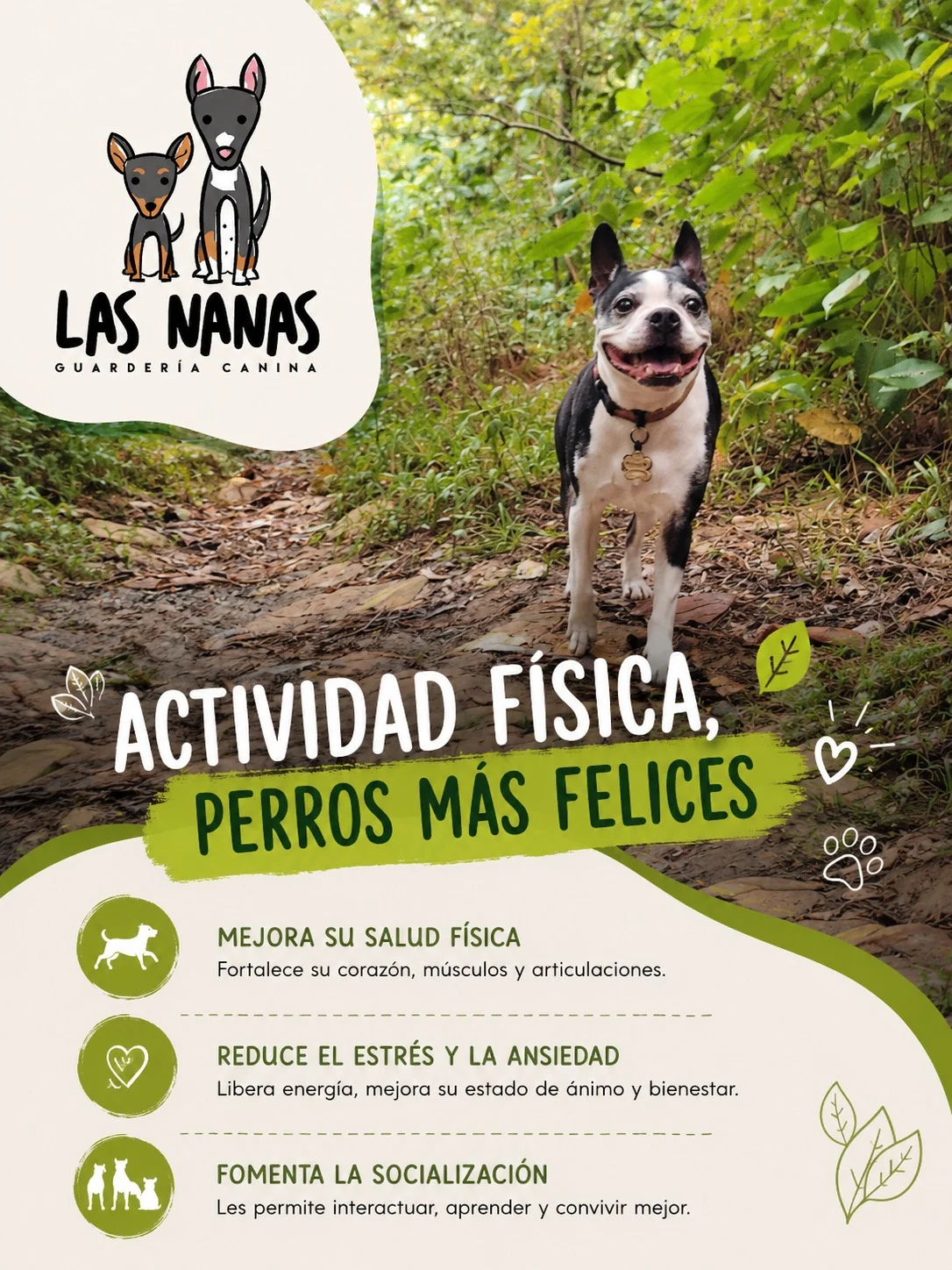 Las Nanas Guarderia Canina - 2