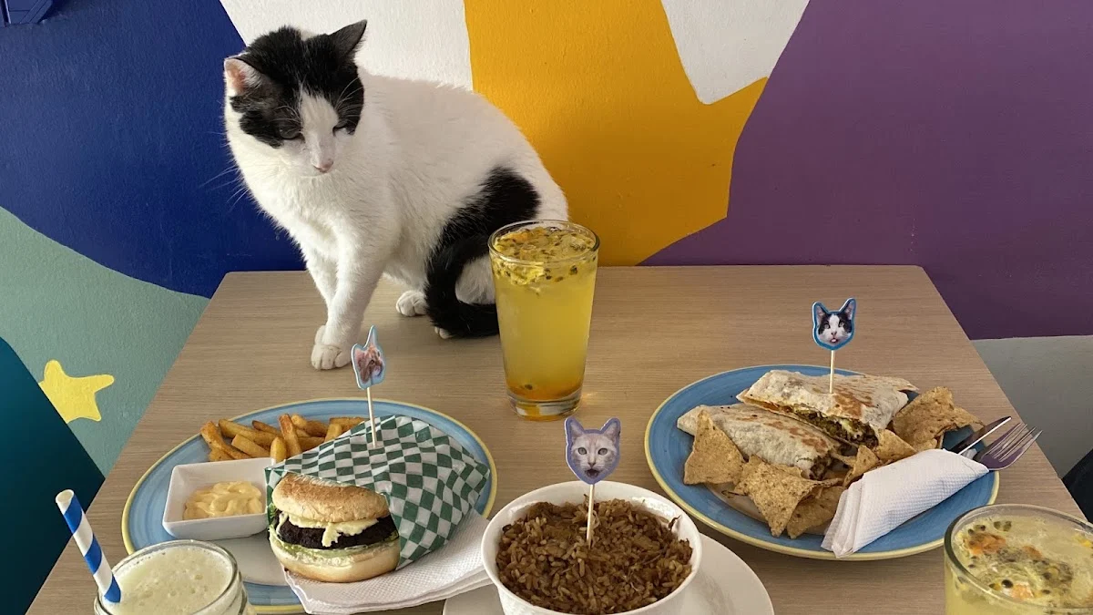 MeCATiadero - Fundación ConPasiónAnimal